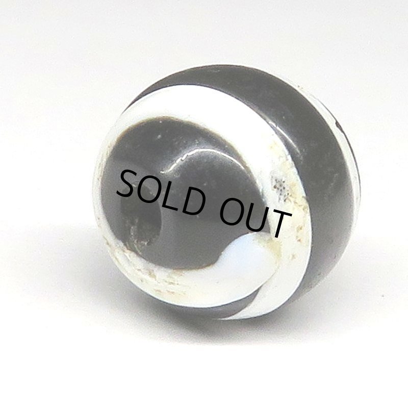 画像4: 螺旋ファンシー (4)