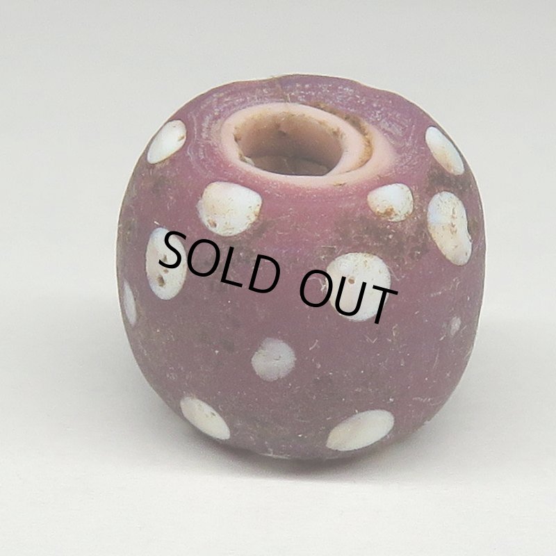 画像2: パープルスカンク (2)