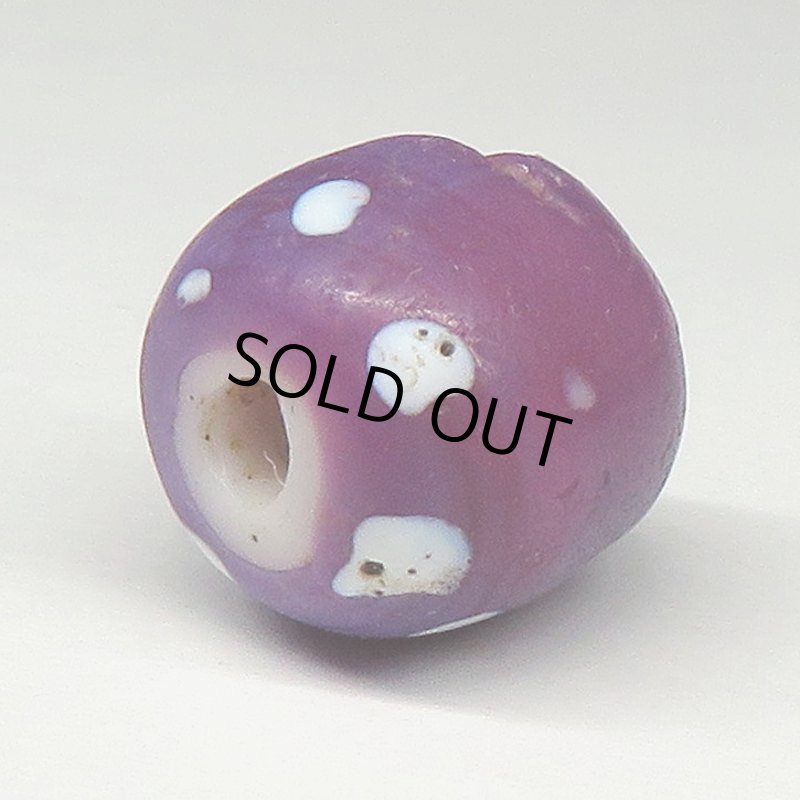 画像4: パープルスカンク (4)