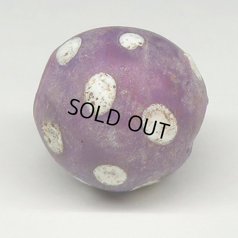 画像3: パープルスカンク (3)