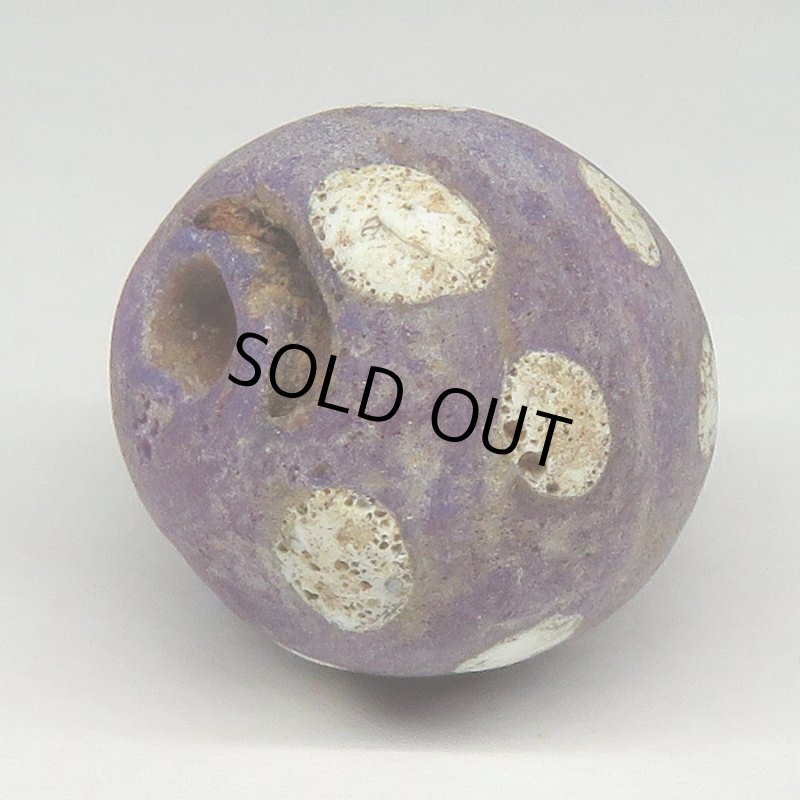 画像4: パープルスカンク (4)