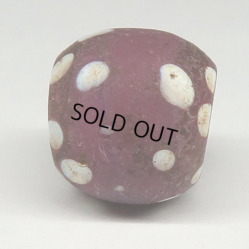 画像3: パープルスカンク (3)