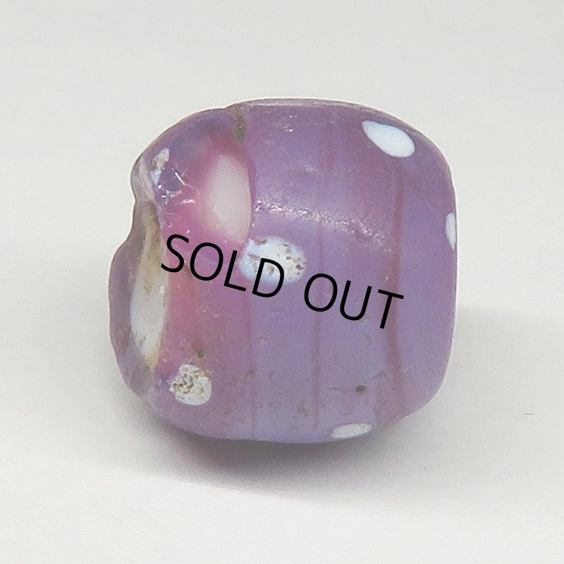 画像3: パープルスカンク (3)