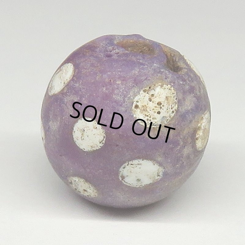 画像2: パープルスカンク (2)