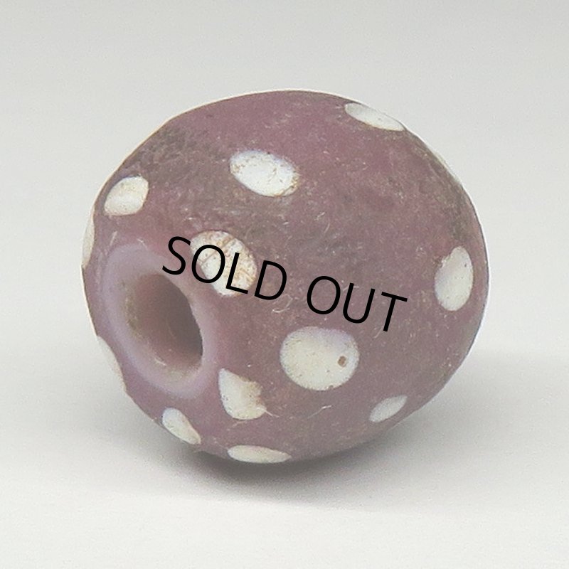 画像4: パープルスカンク (4)