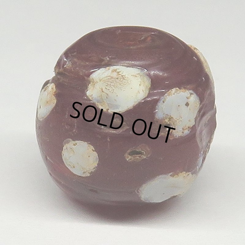 画像2: ダークレッドのスカンク (2)