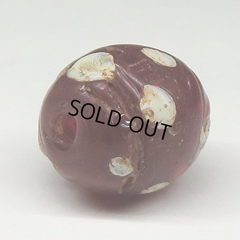 画像4: ダークレッドのスカンク (4)