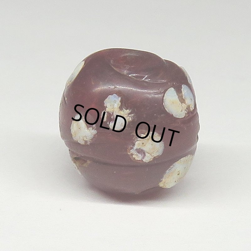 画像1: ダークレッドのスカンク (1)