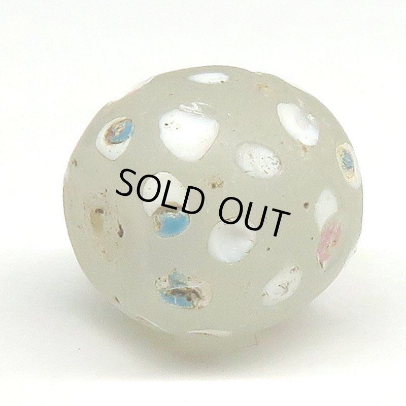 画像4: ホワイトスカンク (4)