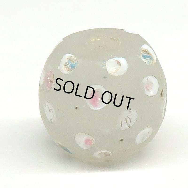 画像2: ホワイトスカンク (2)