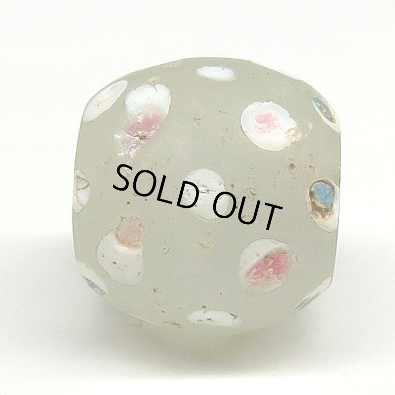 画像3: ホワイトスカンク (3)