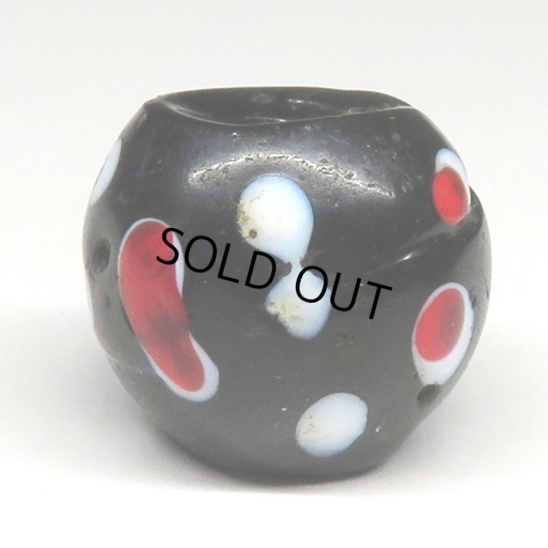 画像2: 赤い目のブラックスカンク (2)