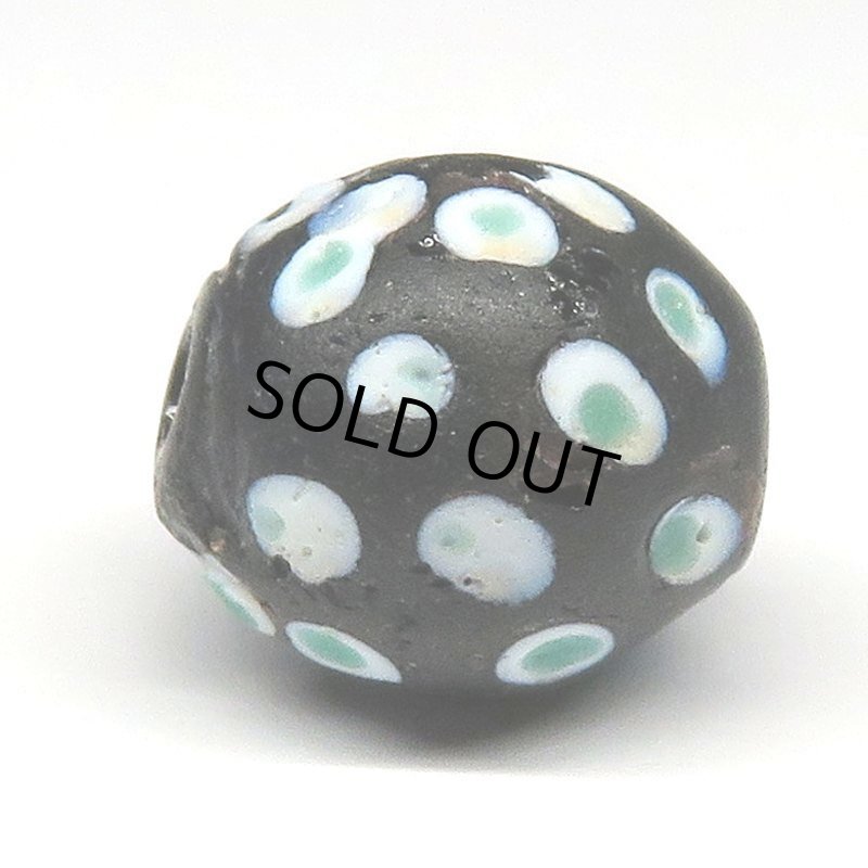 画像3: 緑ドットのブラックスカンク (3)