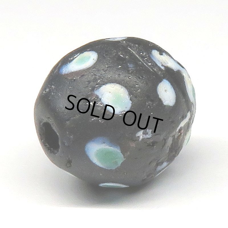 画像4: 緑ドットのブラックスカンク (4)