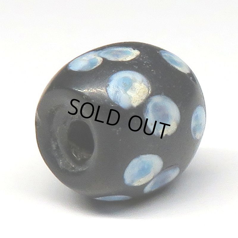 画像4: ブルードットのブラックスカンク (4)