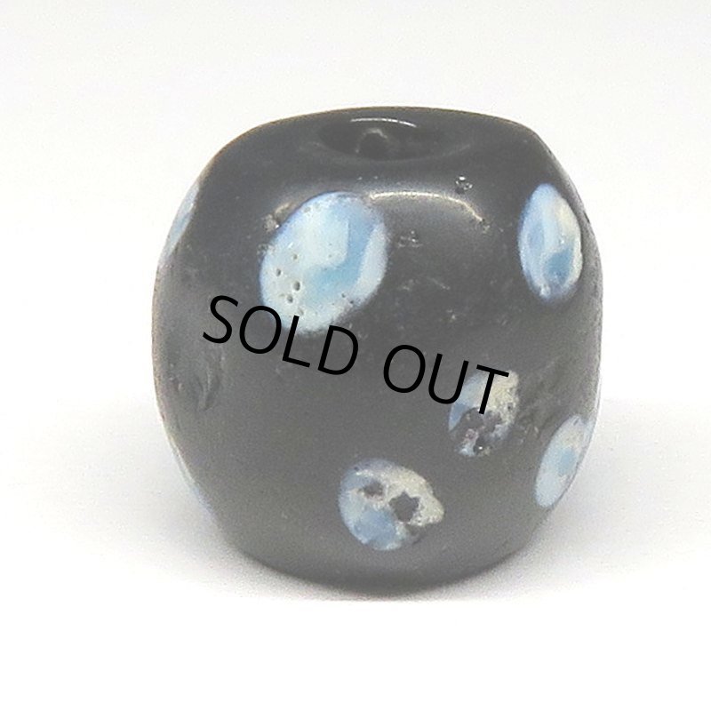 画像2: ブルードットのブラックスカンク (2)