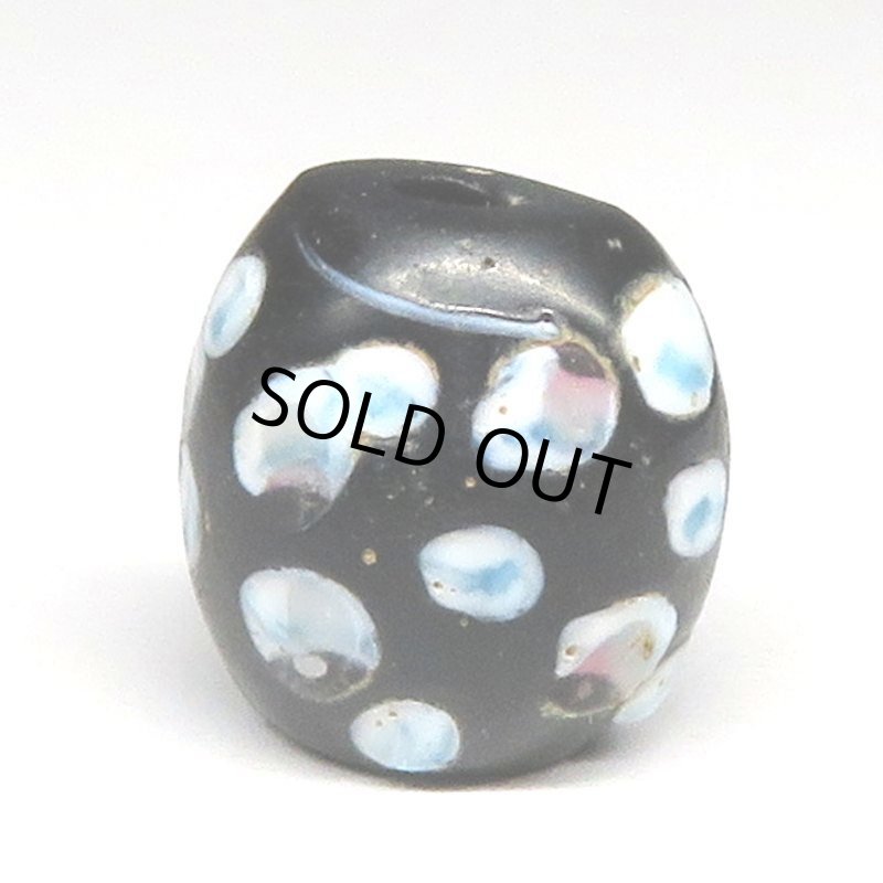 画像2: ピンク+ブルードットのブラックスカンク (2)