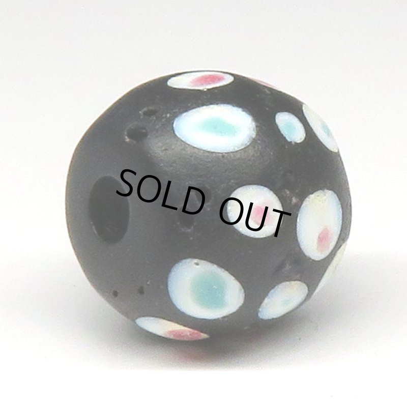 画像4: 美ピンク+ブルードットのブラックスカンク (4)