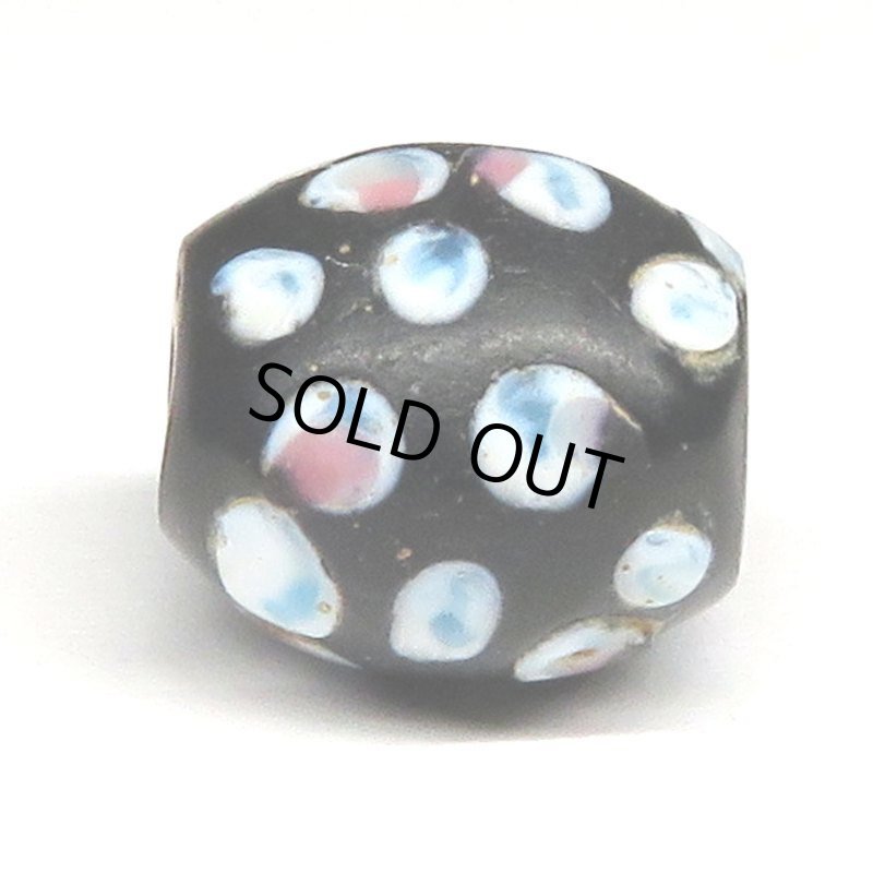 画像3: ピンク+ブルードットのブラックスカンク (3)