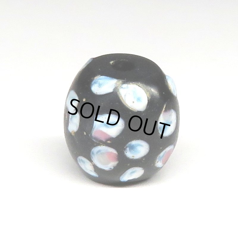 画像1: ピンク+ブルードットのブラックスカンク (1)