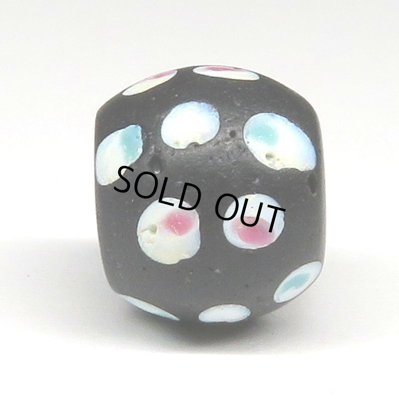 画像3: 美ピンク+ブルードットのブラックスカンク (3)