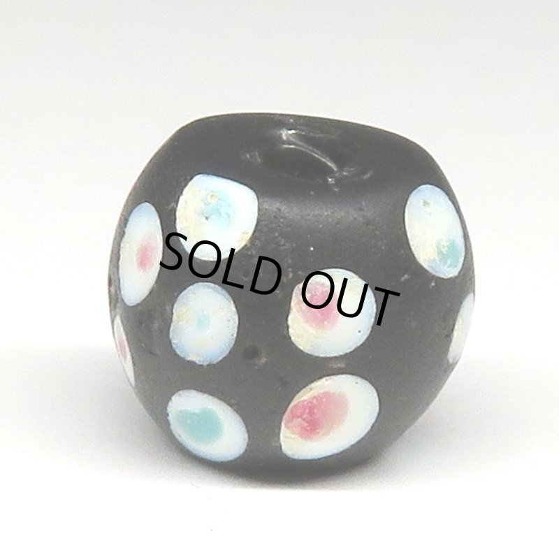 画像2: 美ピンク+ブルードットのブラックスカンク (2)