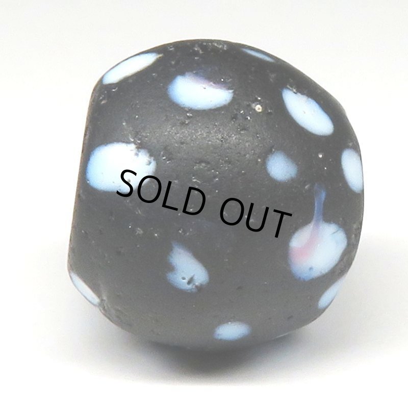 画像3: 大型ブラックスカンク (3)