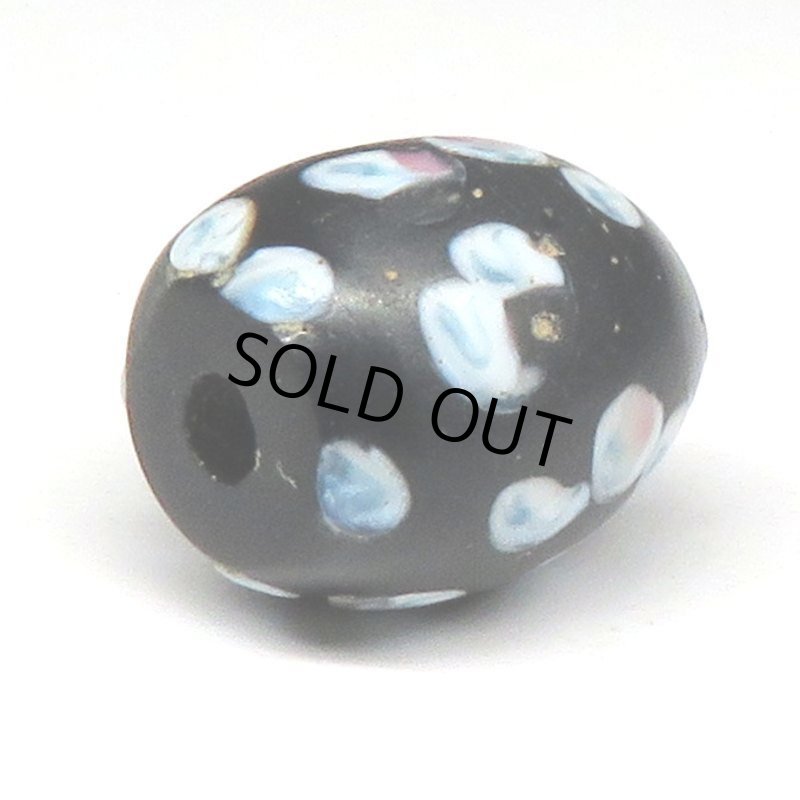 画像4: ピンク+ブルードットのブラックスカンク (4)