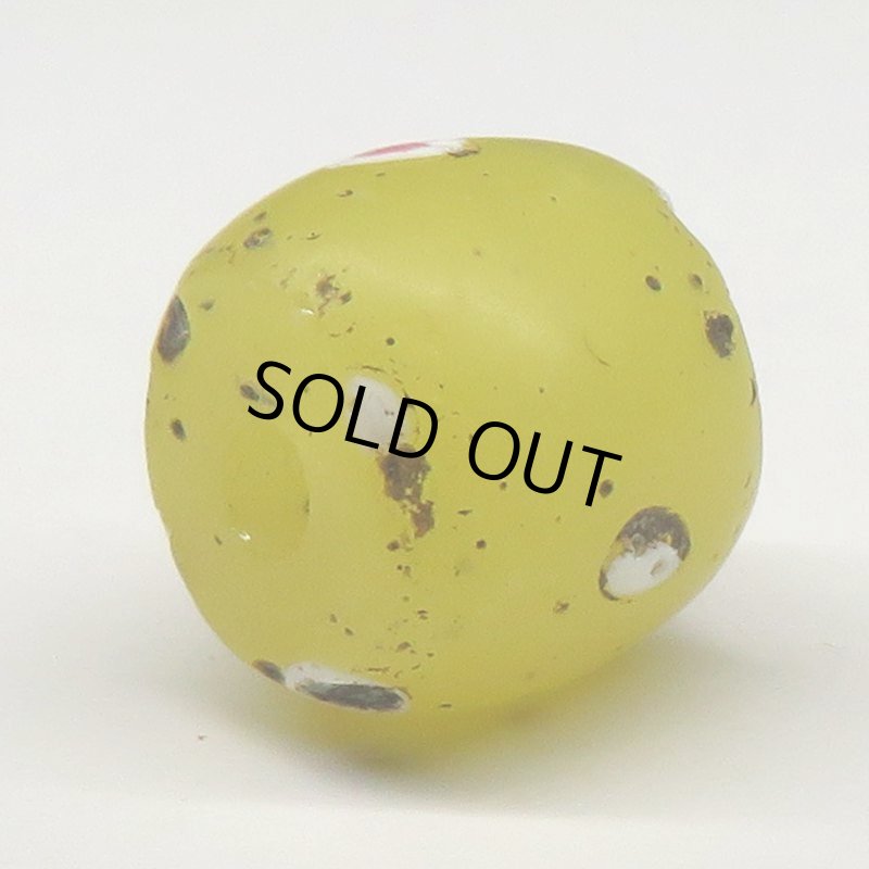 画像4: クリームイエローファンシースカンク (4)