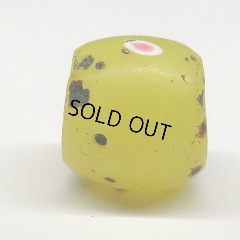 画像3: クリームイエローファンシースカンク (3)