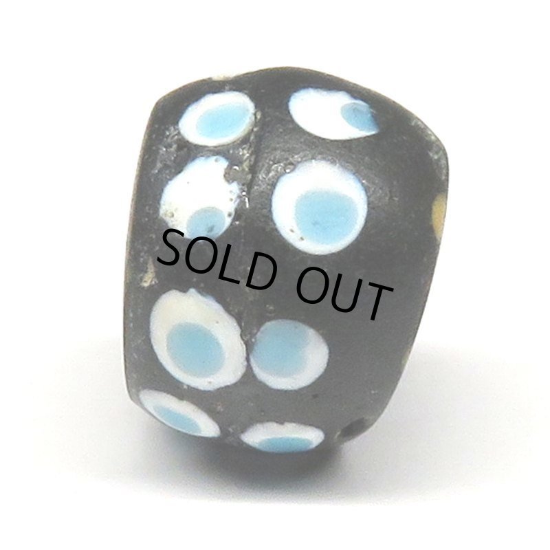 画像3: ファンシースカンク (3)