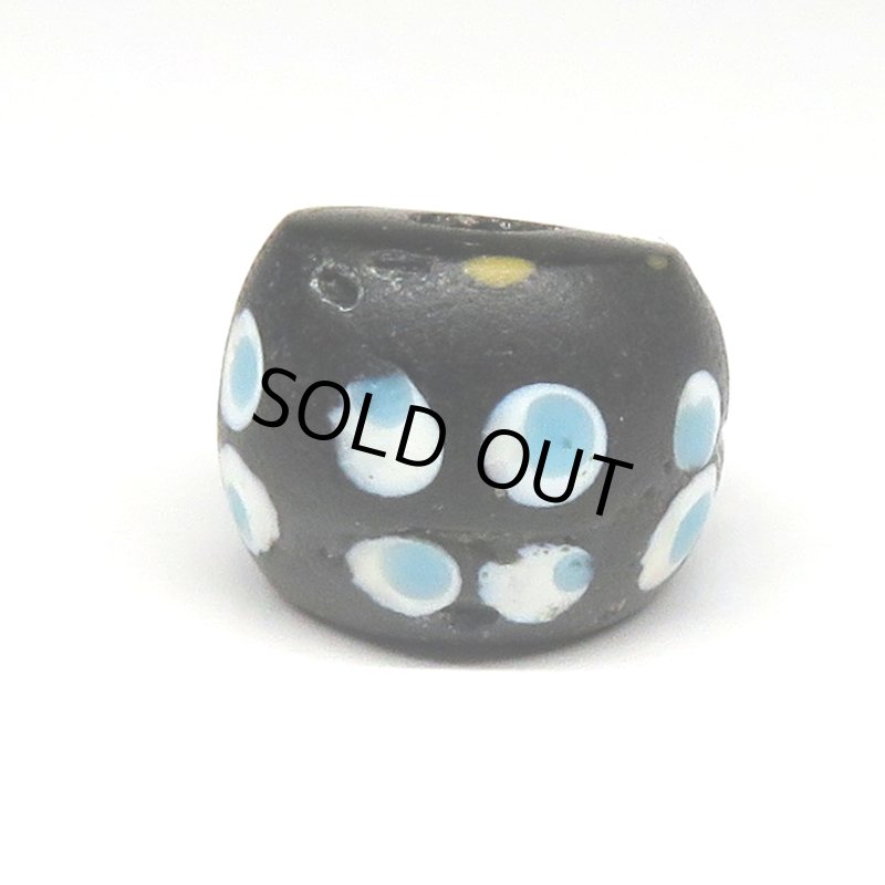 画像1: ファンシースカンク (1)