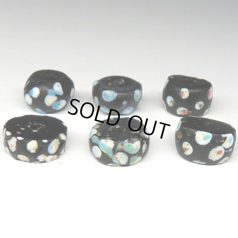 画像2: ブラックスカンク 6個セット (2)