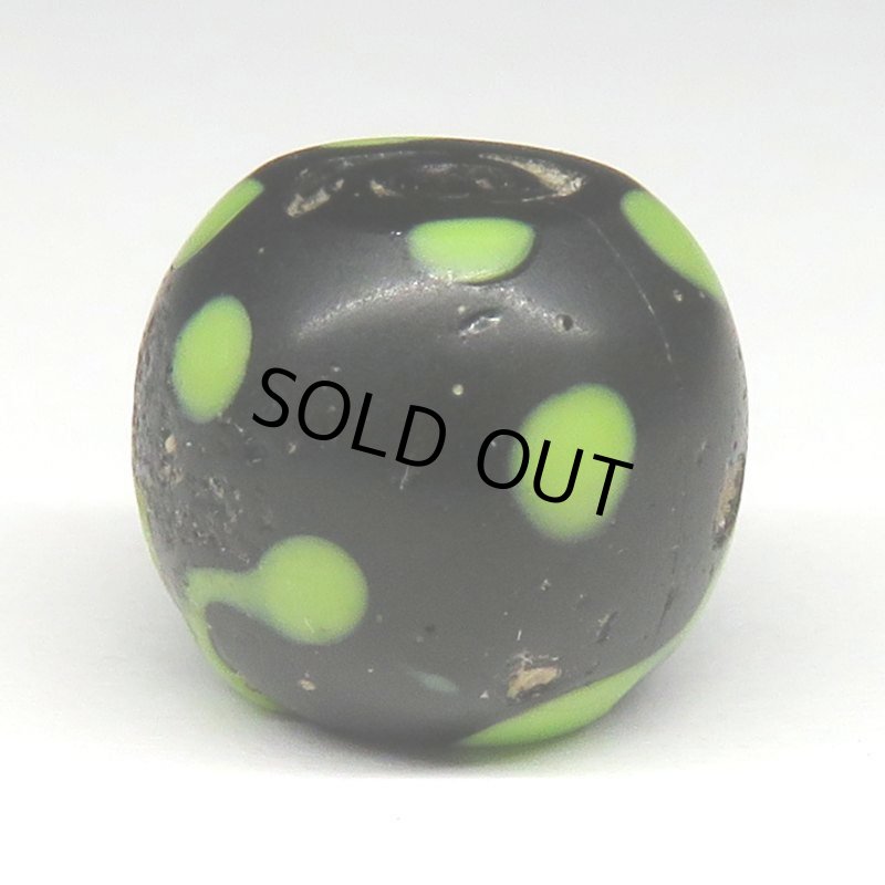 画像2: 黄色ドットのブラックスカンク (2)