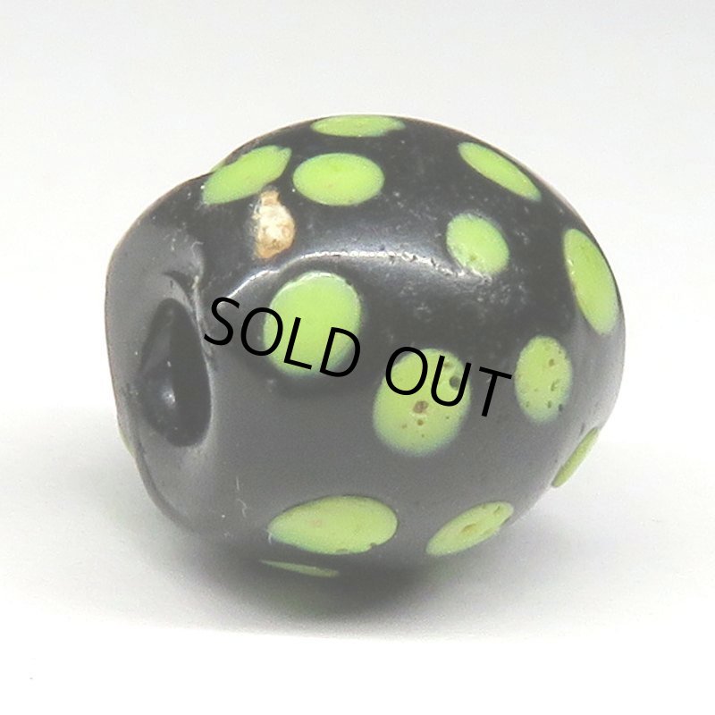 画像4: 美黄色ドットのブラックスカンク (4)