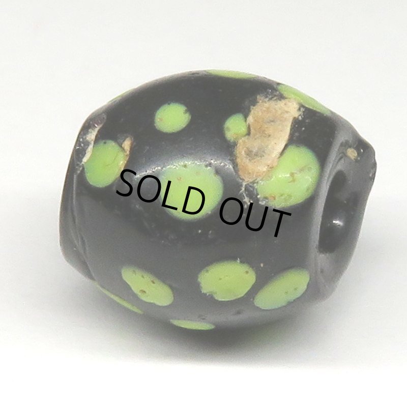 画像3: 美黄色ドットのブラックスカンク (3)