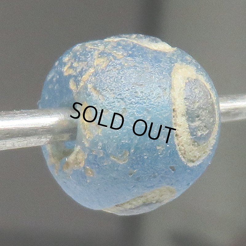 画像5: ジュンネブルーアイ小 (5)