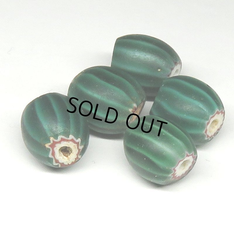 画像4: ヴェネチア　ウォーターメロン深色球形（複数在庫あり） (4)