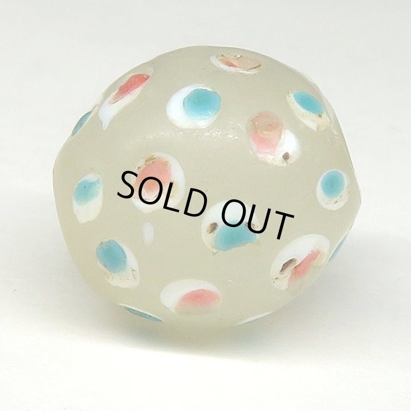 画像3: 美ホワイトスカンク (3)