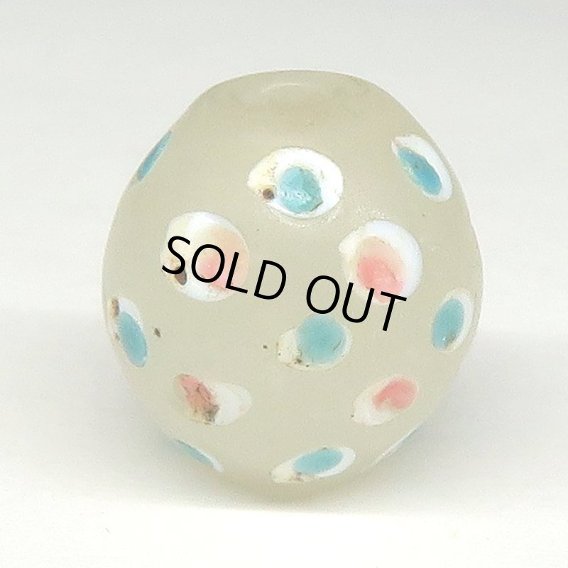 画像2: 美ホワイトスカンク (2)