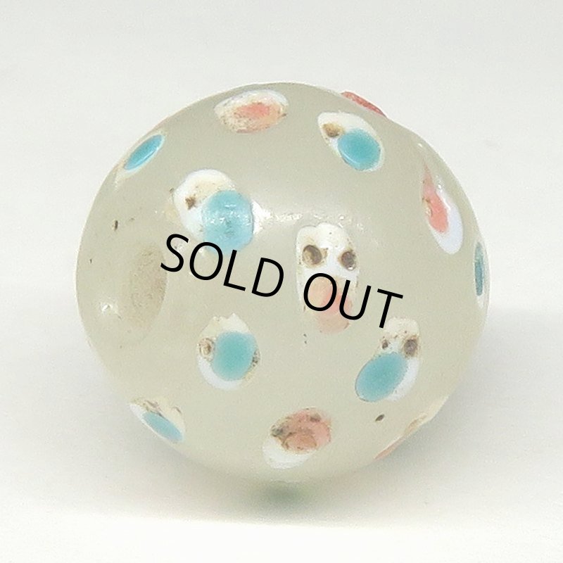 画像4: 美ホワイトスカンク (4)