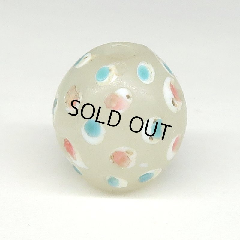 画像1: 美ホワイトスカンク (1)