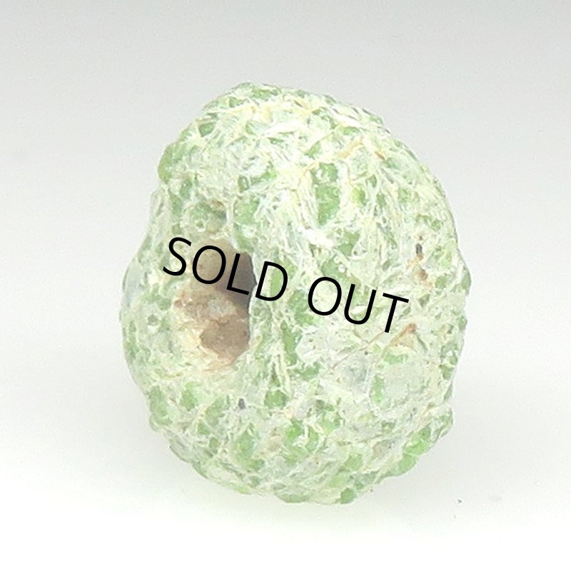 画像3: 白化緑のヘブロン (3)