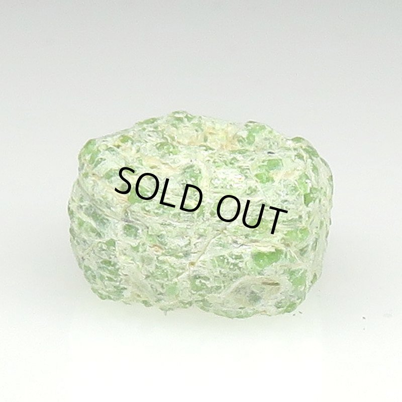 画像2: 白化緑のヘブロン (2)