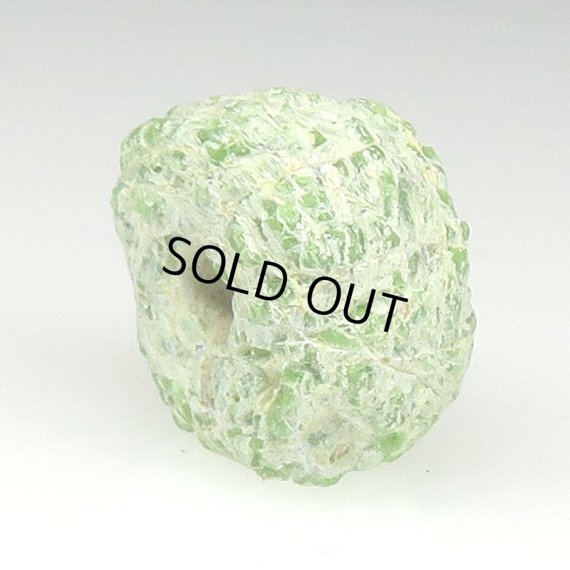 画像4: 白化緑のヘブロン (4)