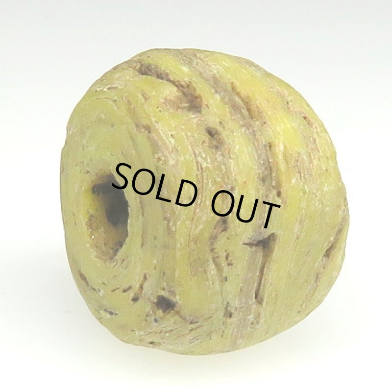 画像4: 黄色のヘブロン (4)