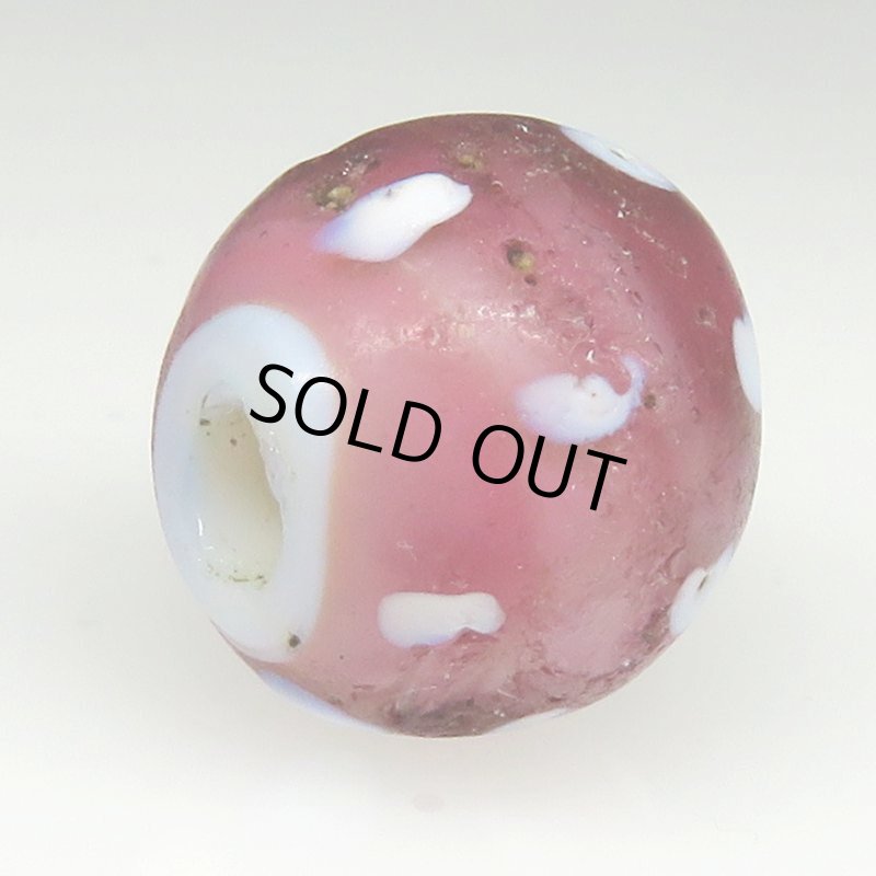 画像4: ピンクパープルスカンク (4)