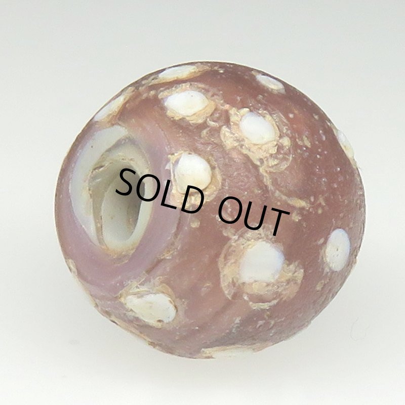 画像4: 風化渋色レッドスカンク (4)