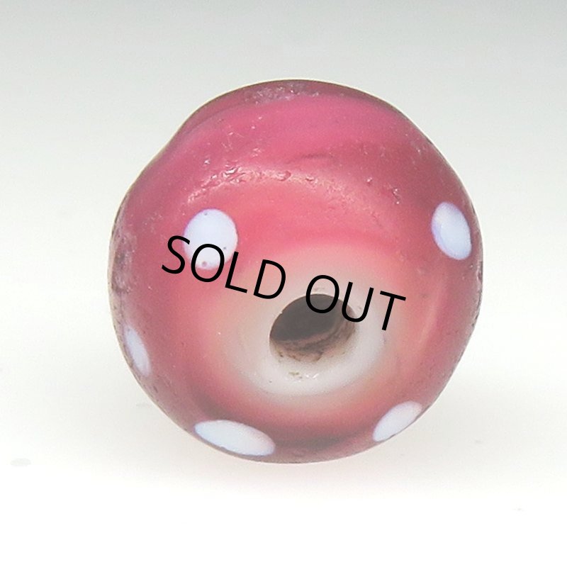 画像5: 研磨ワインレッドのスカンク (5)