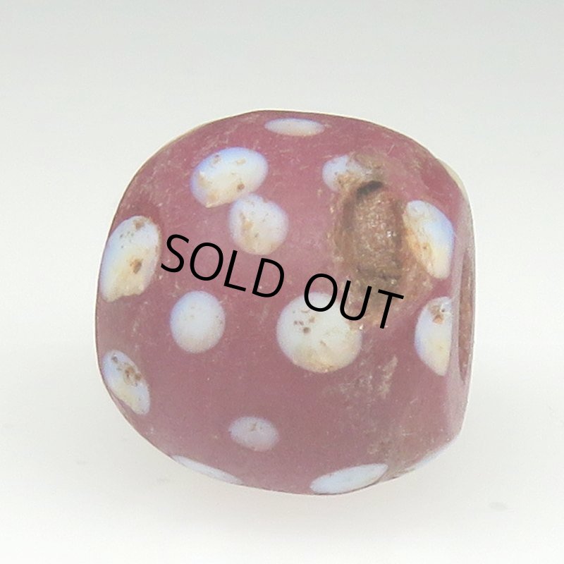 画像3: ピンクパープルスカンク (3)